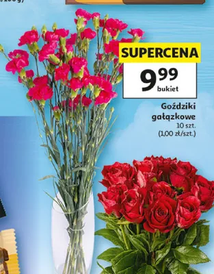 Goździki gałązkowe promocja w Auchan