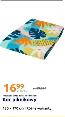 Koc piknikowy promocja w Action
