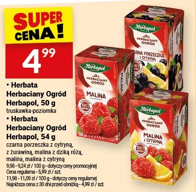 Herbata owocowa Ogród Herbapol truskawka poziomka promocja w Twój Market