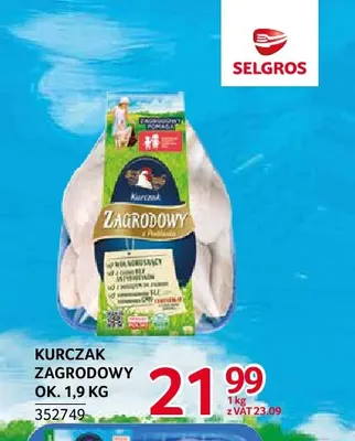Kurczak promocja w Selgros