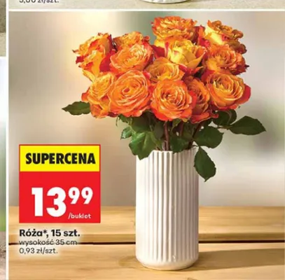 Róża 15-pak promocja w Biedronka