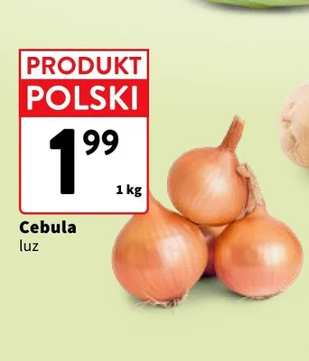 Cebula polska promocja w Intermarche