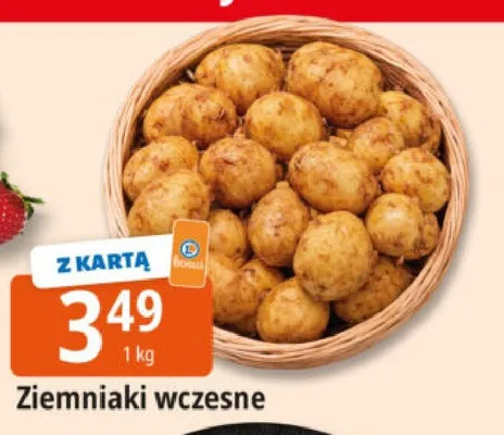 Ziemniaki wczesne promocja w Leclerc