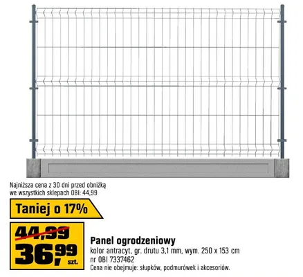 Panel ogrodzeniowy kolor antracyt, or. drutu 3,1 mm, wym. 250 x 153 cm promocja w OBI
