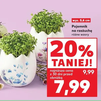 Pojemnik na rzeżuchę różne wzory promocja w Kaufland