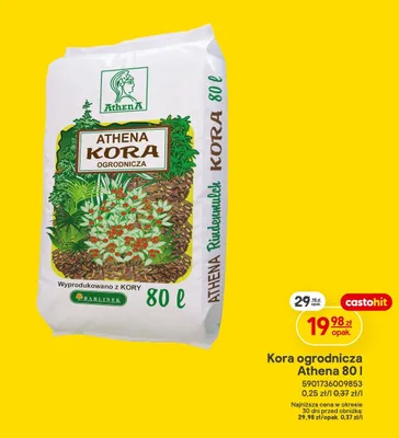 Kora ogrodnicza promocja w Castorama