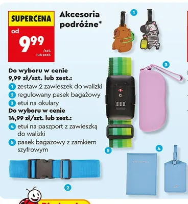Regulowany pasek bagażowy promocja w Biedronka