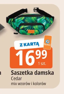 Saszetka damska Cedar promocja w Leclerc