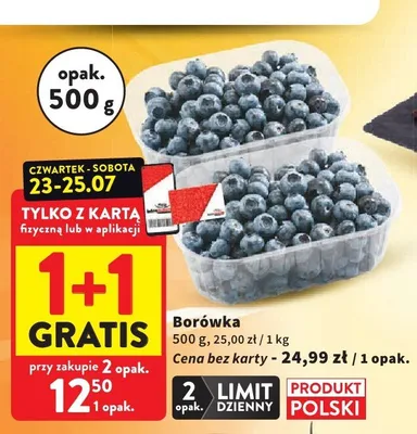 Borówka promocja w Intermarche