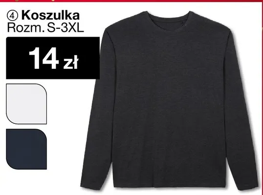 Koszulka Rozm. S-3XL promocja w Woolworth