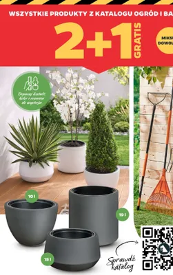Doniczka ogrodowa 10l promocja w Netto