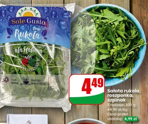 Sałata rukola, roszponka, szpinak promocja w Dino