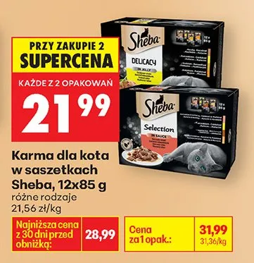 Karma dla kota w saszetkach Delicacy promocja w Biedronka