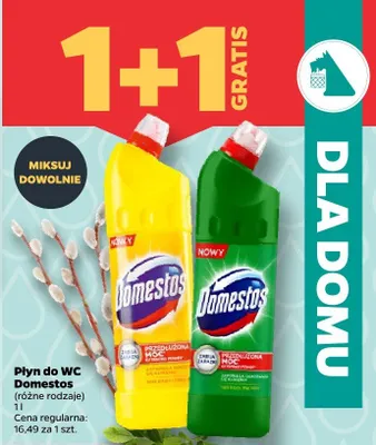 Płyn do WC Domestos promocja w Netto