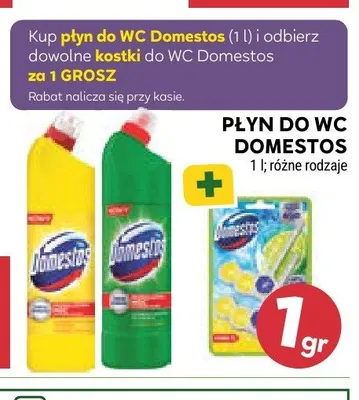 Kostka do WC Domestos promocja w Stokrotka