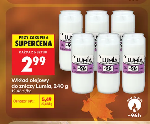 Wkład olejowy do zniczy Lumia promocja w Biedronka