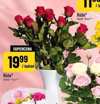 Róże promocja w POLOmarket