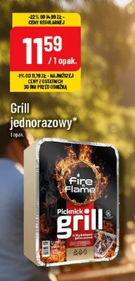 Grill jednorazowy Fire & Flame Picknick grill promocja w POLOmarket