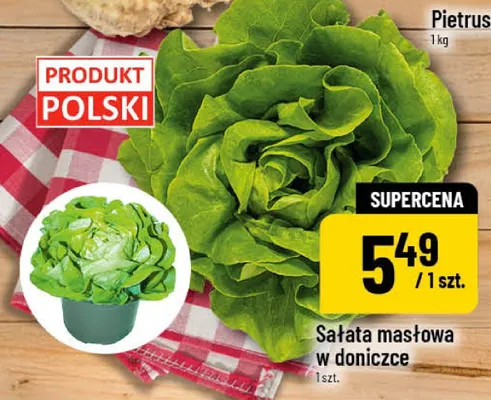 Sałata masłowa w doniczce promocja w POLOmarket