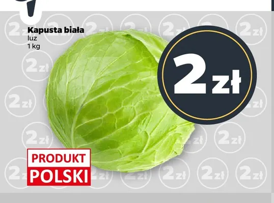 Kapusta biała promocja w Netto