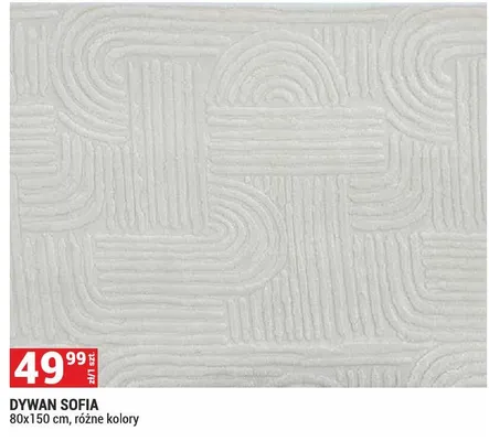 Dywan Sofia 80x150cm promocja w Merkury Market