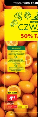 Kumkwat promocja w Biedronka