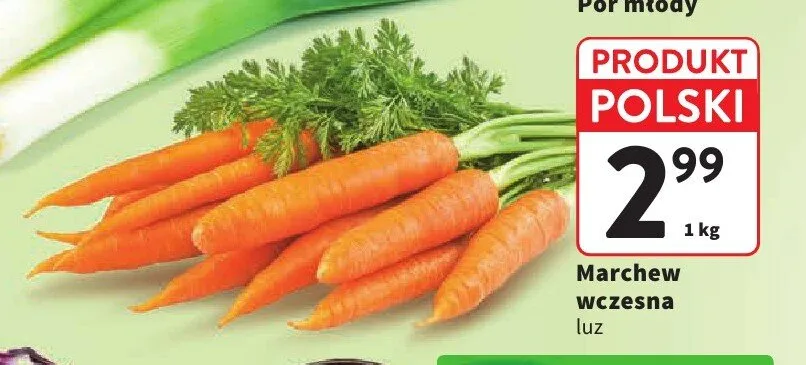 Marchew wczesna polska promocja w Intermarche