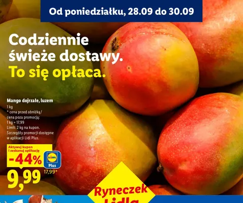 Mango dojrzałe promocja w Lidl