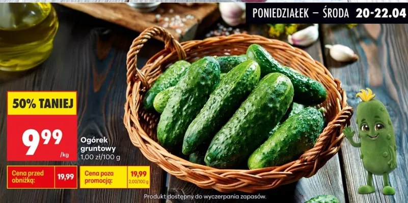 Ogórek gruntowy promocja w Biedronka