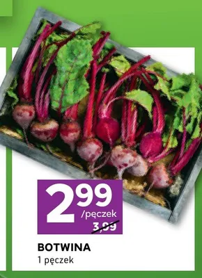 Botwina promocja w Stokrotka