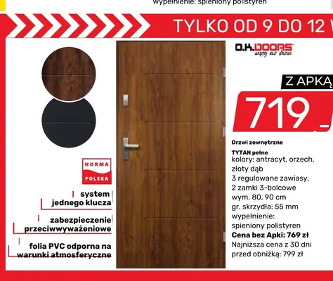 Drzwi zewnętrzne Tytan pełne O.K.DOORS promocja w Bricomarche