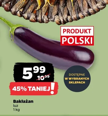 Bakłażan polski Netto promocja w Netto