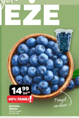 Borówka Sekoya promocja w Netto