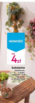 Salaterka plastikowa mała śr.15cm promocja w Pepco