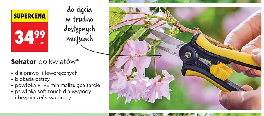 Sekator do kwiatów GERLACH promocja w Biedronka
