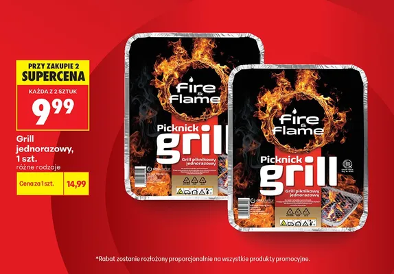 Grill jednorazowy Fire & Flame Picknick promocja w Biedronka
