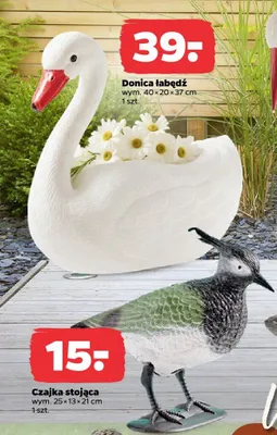 Donica łabędź promocja w Netto