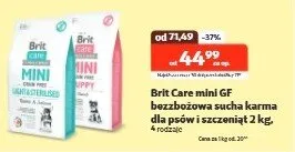 Bezzbożowa sucha karma dla psów i szczeniąt - cena od: promocja w KAKADU