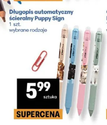 Długopis automatyczny ścieralny Puppy Sign promocja w Delikatesy Centrum