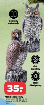 Orzeł na pniu promocja w Netto