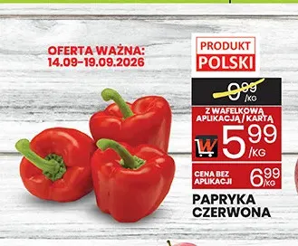 Papryka czerwona promocja w Wafelek