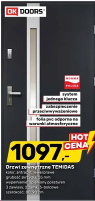Drzwi zewnętrzne Temidas promocja w Bricomarche
