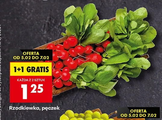 Rzodkiewka, pęczek promocja w Biedronka