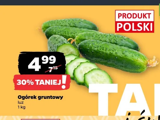 Ogórek gruntowy promocja w Netto