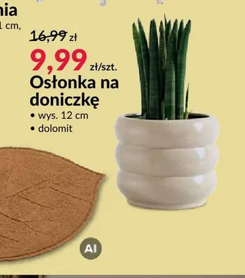Osłonka na doniczkę promocja w Salony Agata