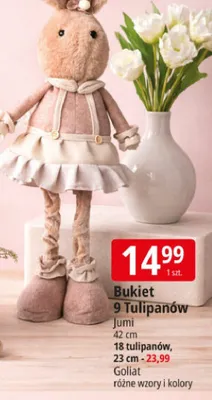 Bukiet 9 Tulipanów Jumi promocja w Leclerc