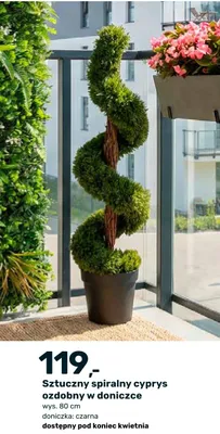 Sztuczny spiralny cyprys ozdobny w doniczce promocja w Bricomarche
