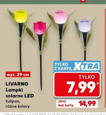 Lampki solarne LED tulipan Livarno promocja w Kaufland