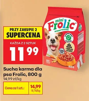 Sucha karma dla psa Frolic promocja w Biedronka