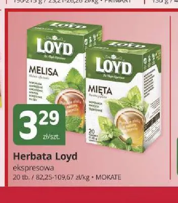 Herbata ekspresowa mięta Loyd promocja w Marketvita